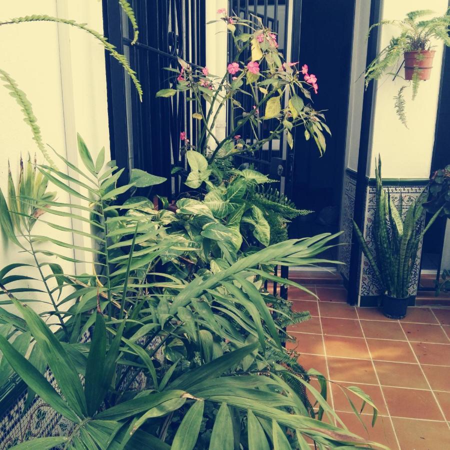 Apartamento Casa Lareymora Algarrobo Exterior foto